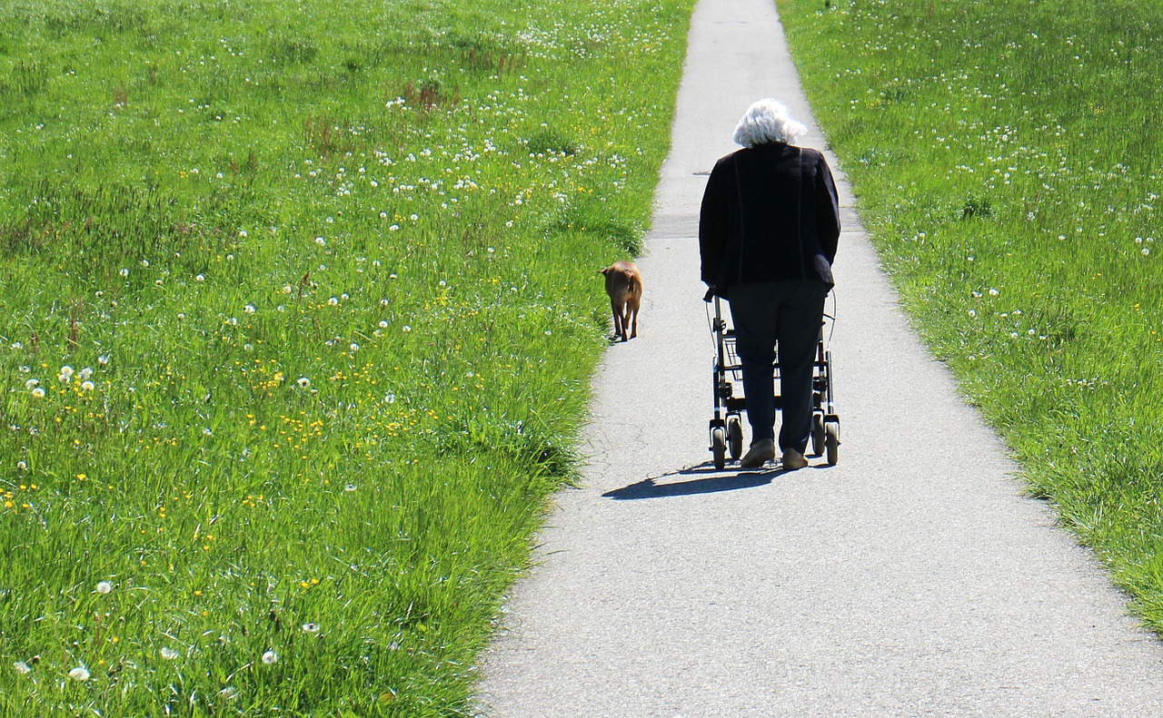 Differenze tra deambulatore e rollatore